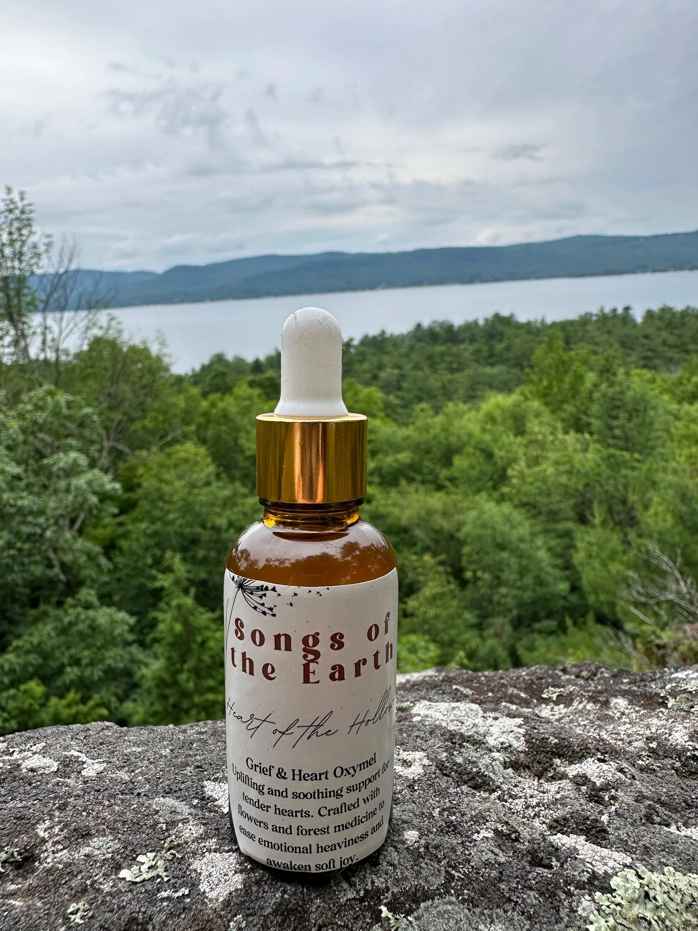 Heart of the Hollow Oxymel